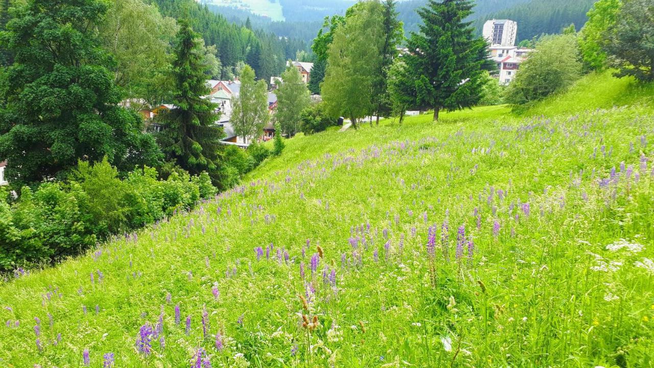 Apartmán Liška - Horalka, Pec pod Sněžkou Exterior foto